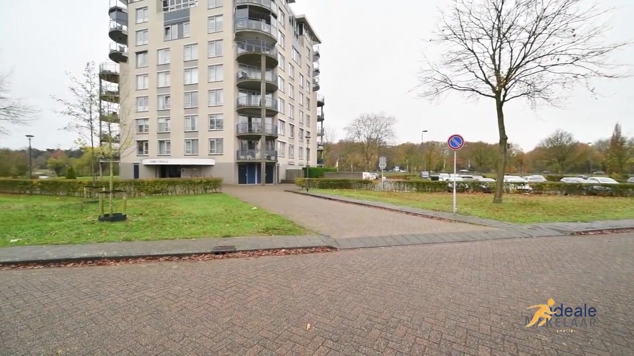 Video van Houtwolplantsoen 258