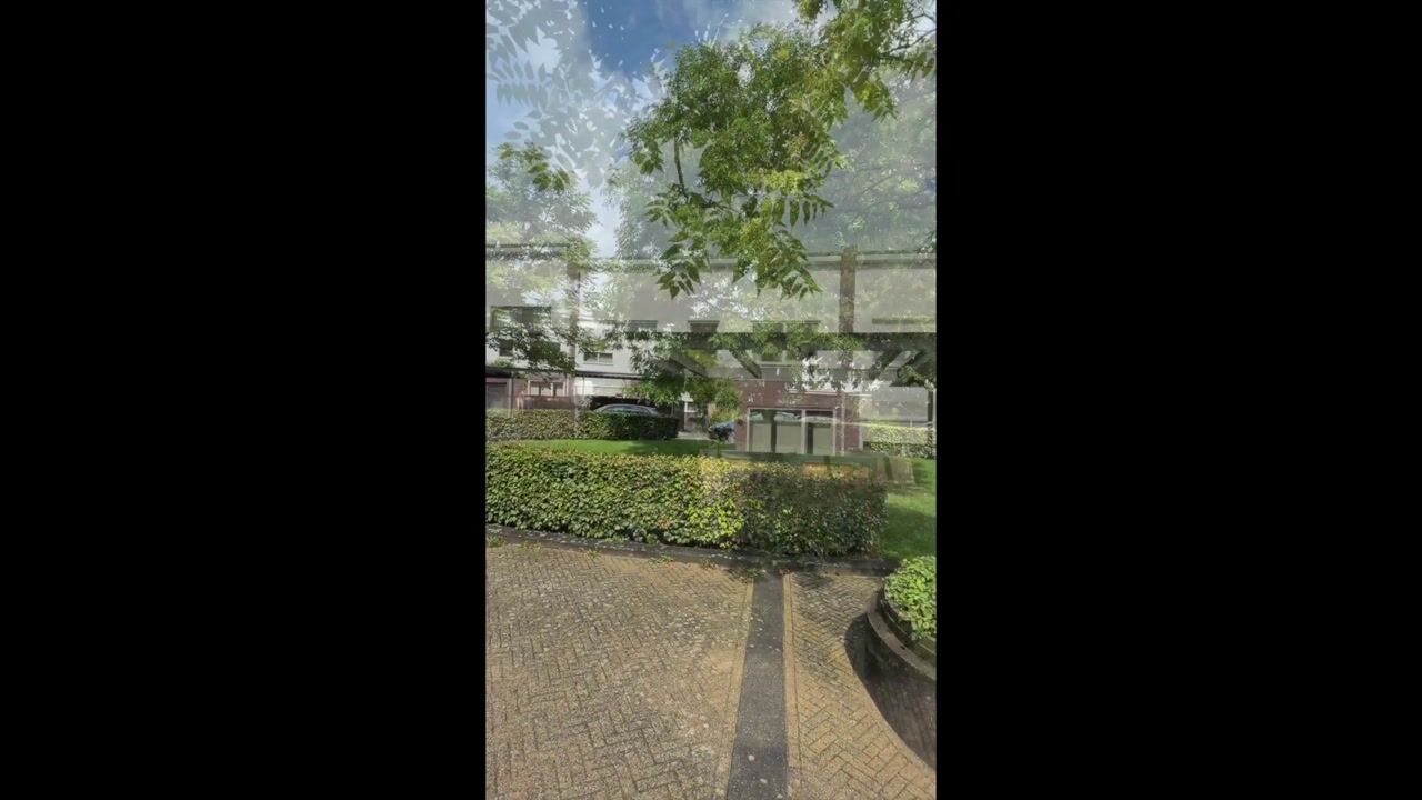 Video van Esperantoplein 24