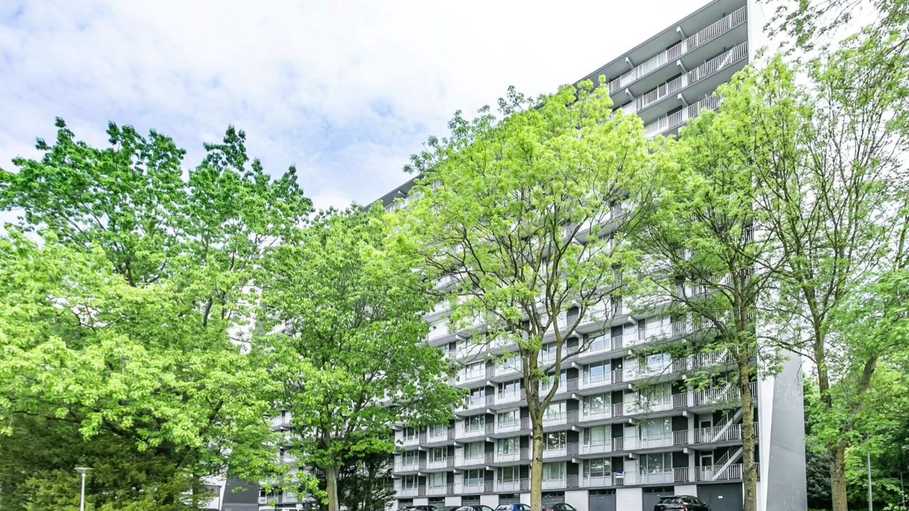 Video van Henri Dunantstraat 241