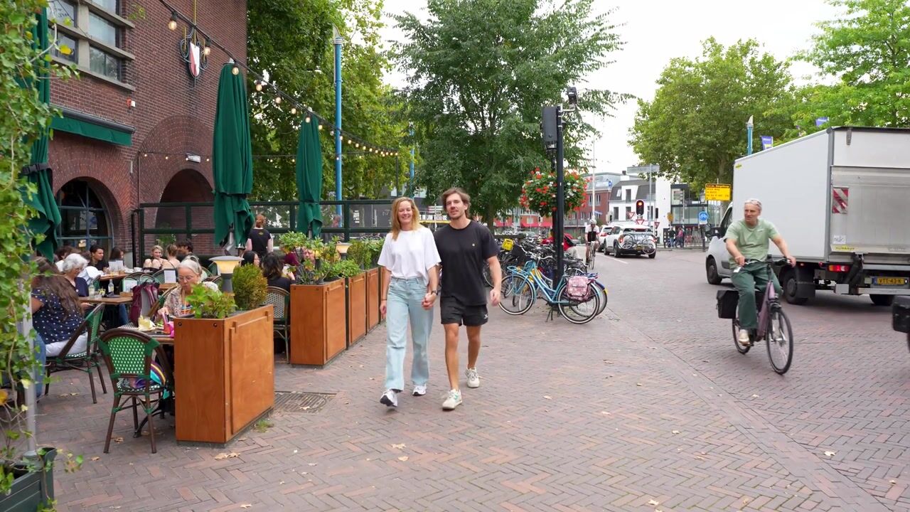 Video van Flamingostraat 16
