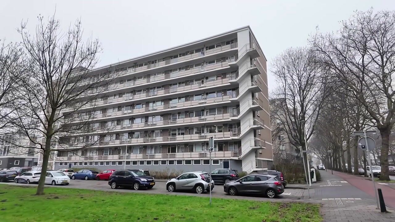 Video van Zwedenburg 19