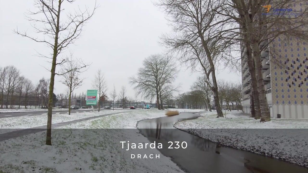 Video van Tjaarda 230