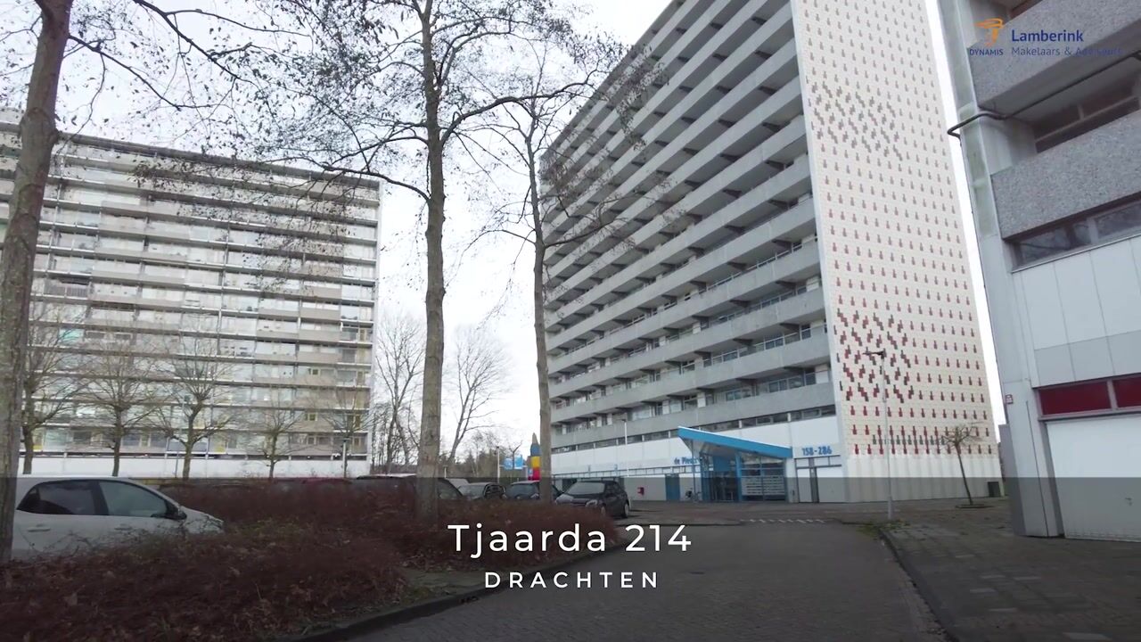 Bekijk video van Tjaarda 214