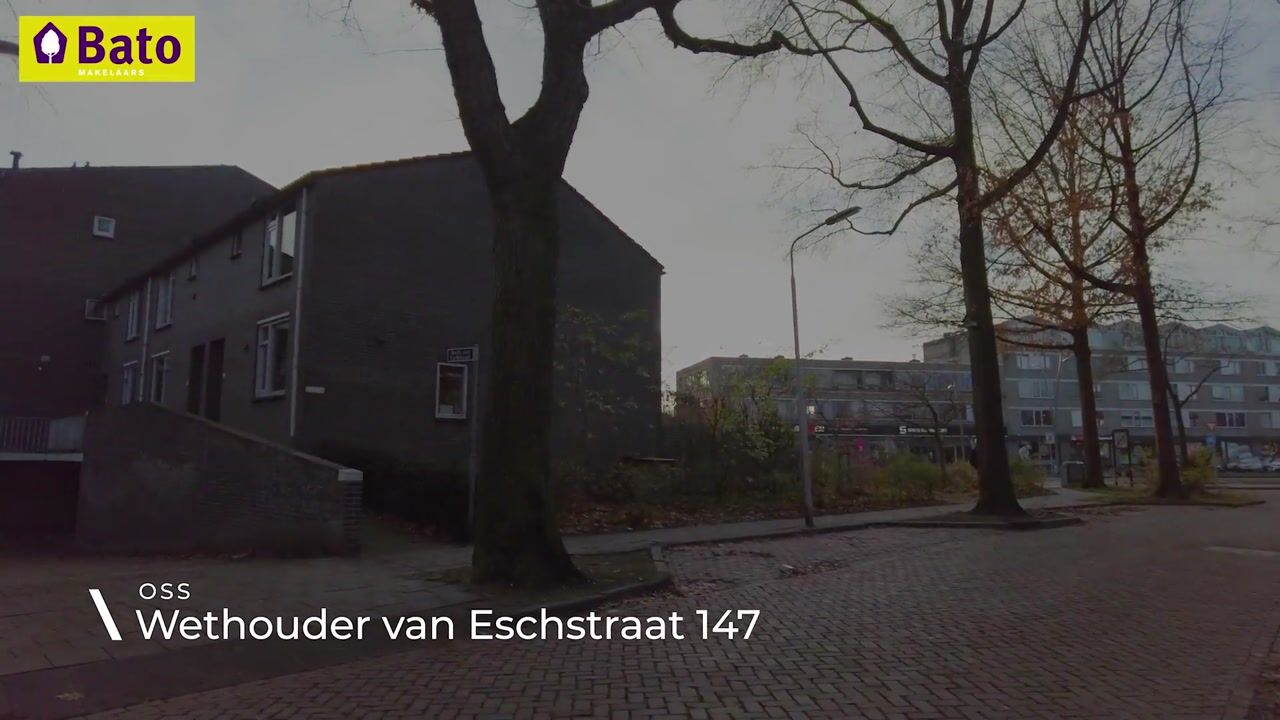 Video of Wethouder van Eschstraat 147