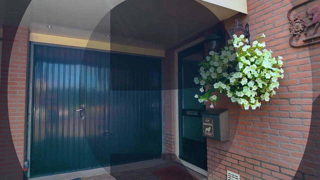 Video van Ganzerik 13
