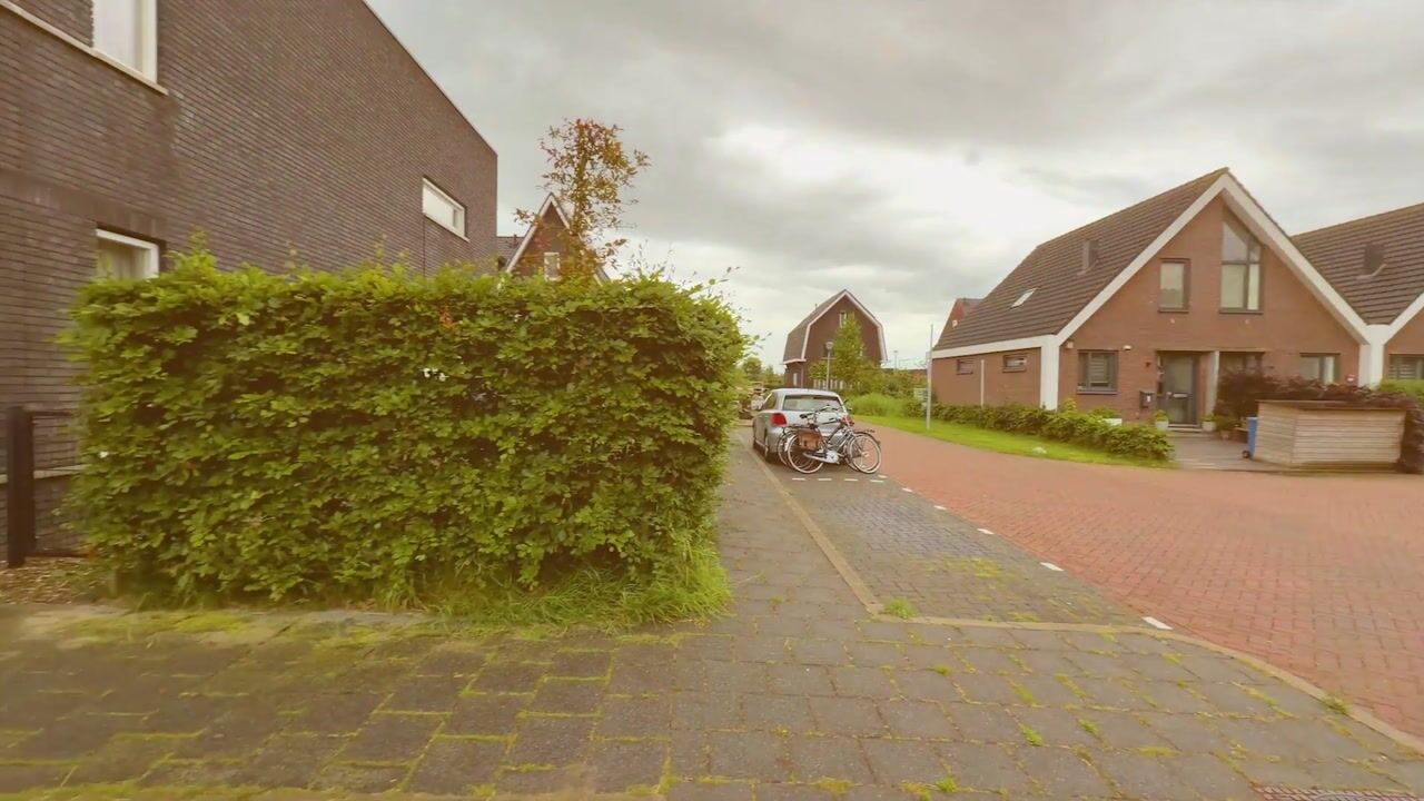 Video van De Haak 8
