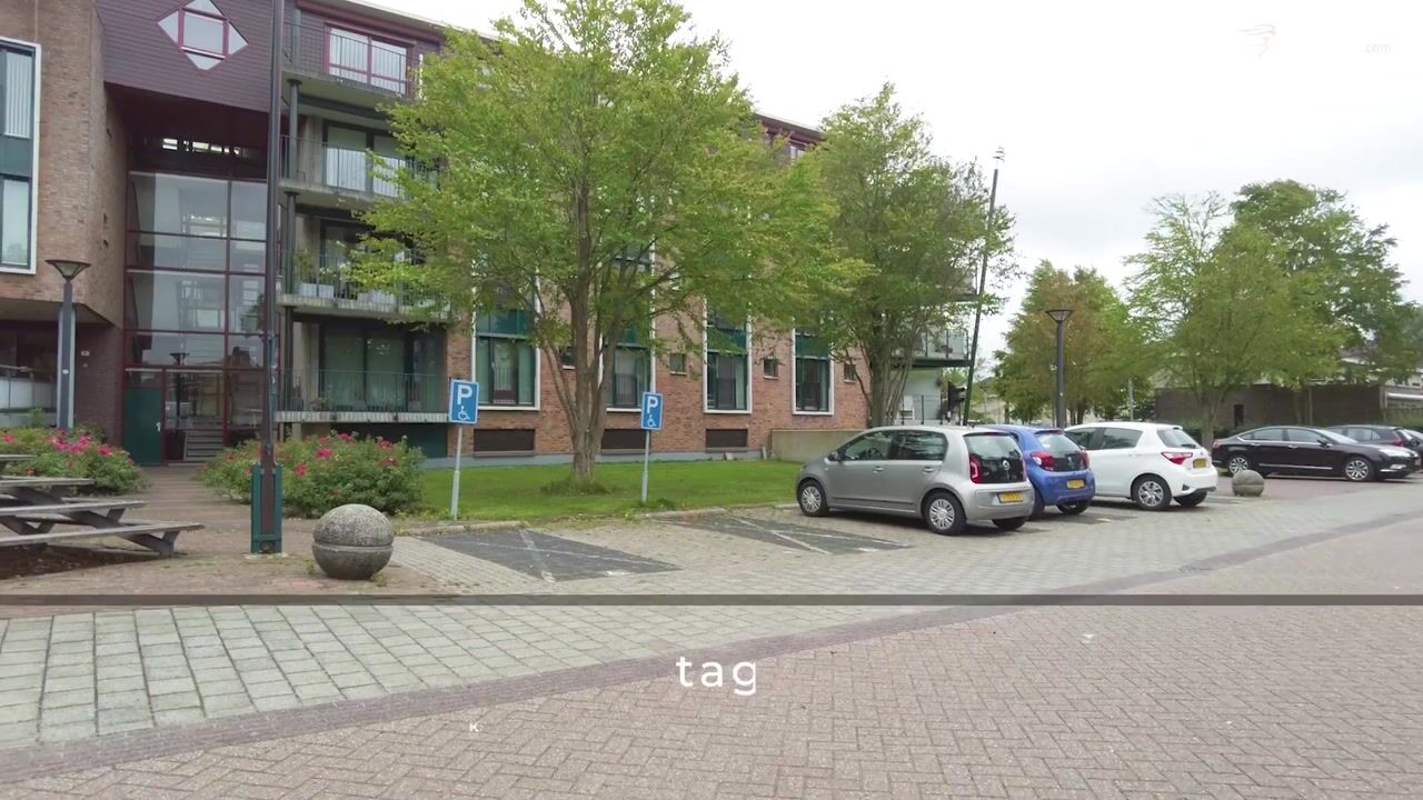 Video van Plantage 41