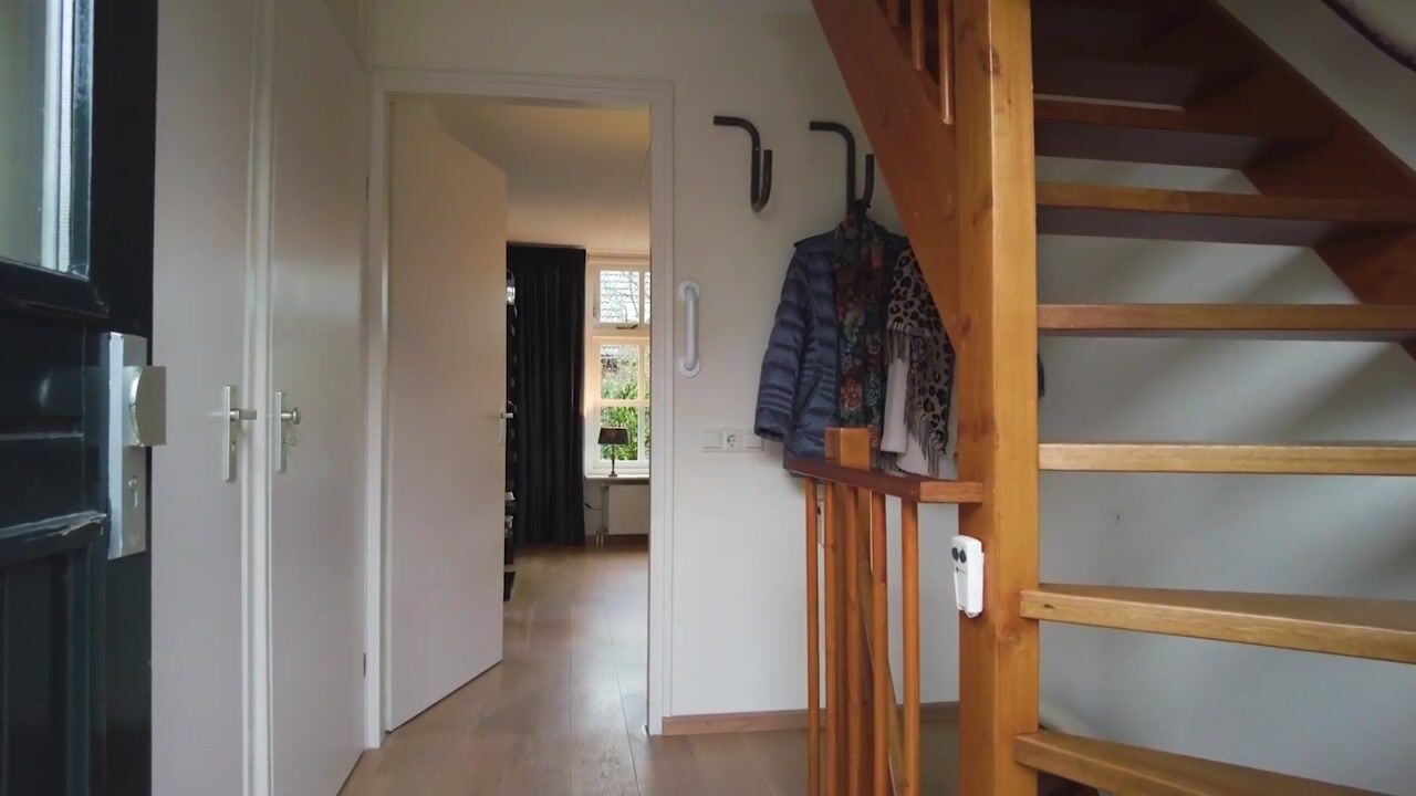 Video van Rosmolen 41