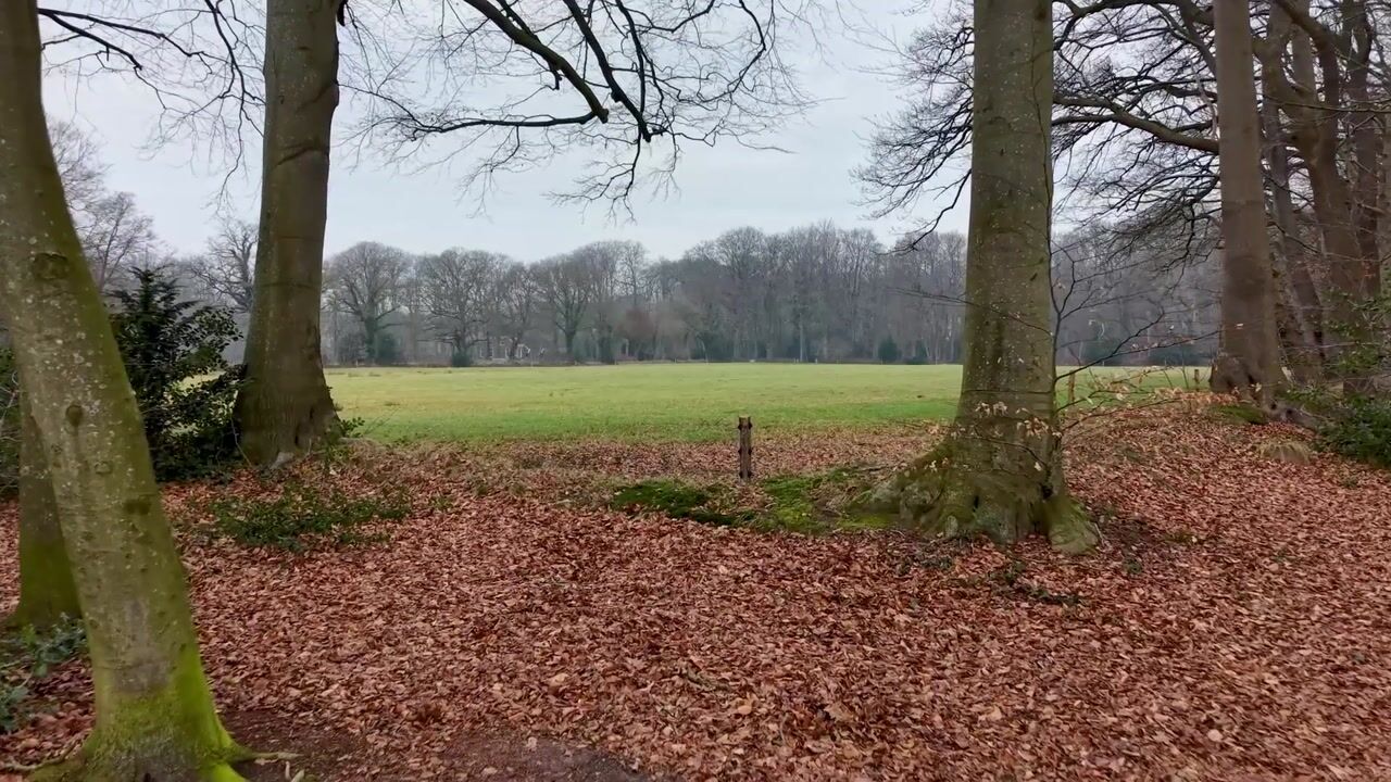 Video van Rijksstraatweg 21
