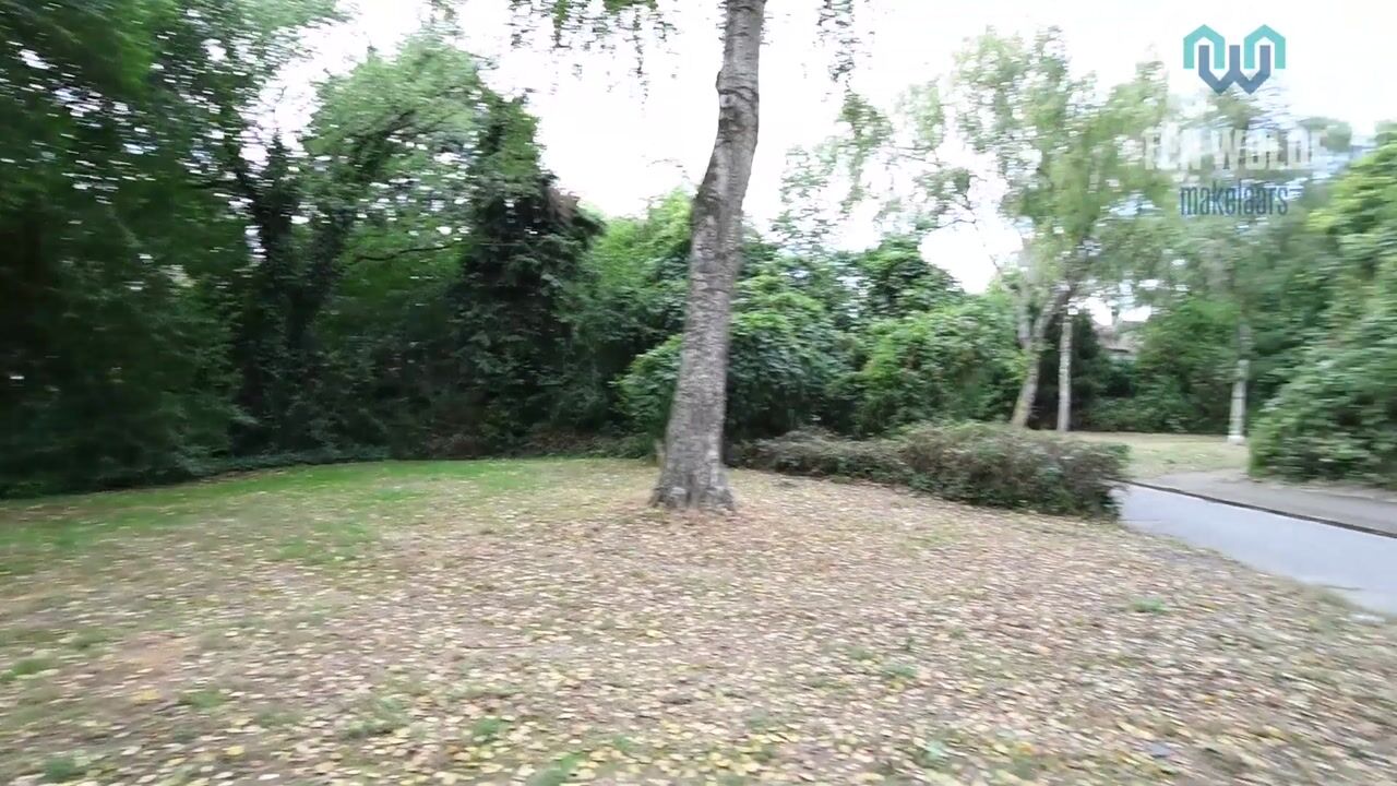 Video van Huismus 5