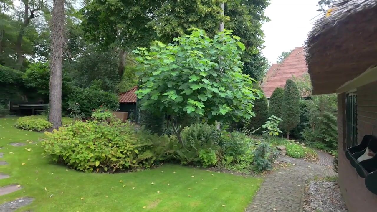 Video van Rijksstraatweg 76