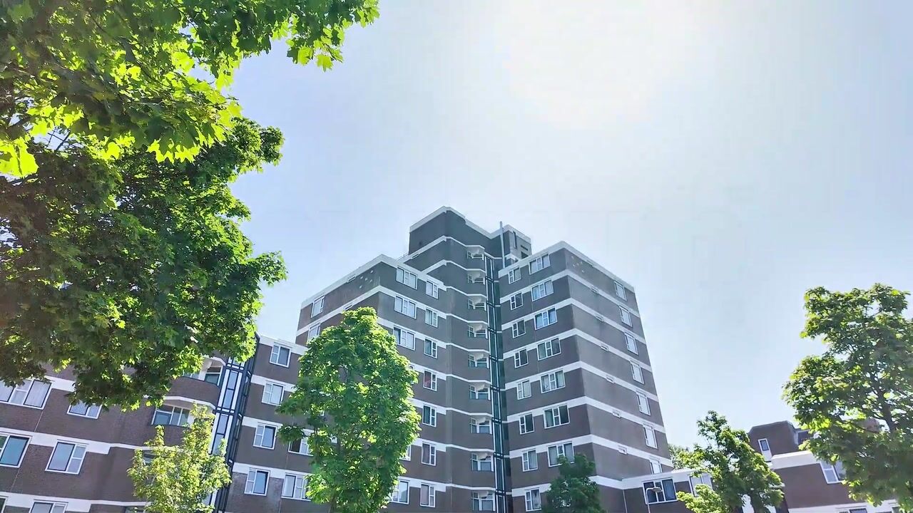Video van Tarwekamp 128