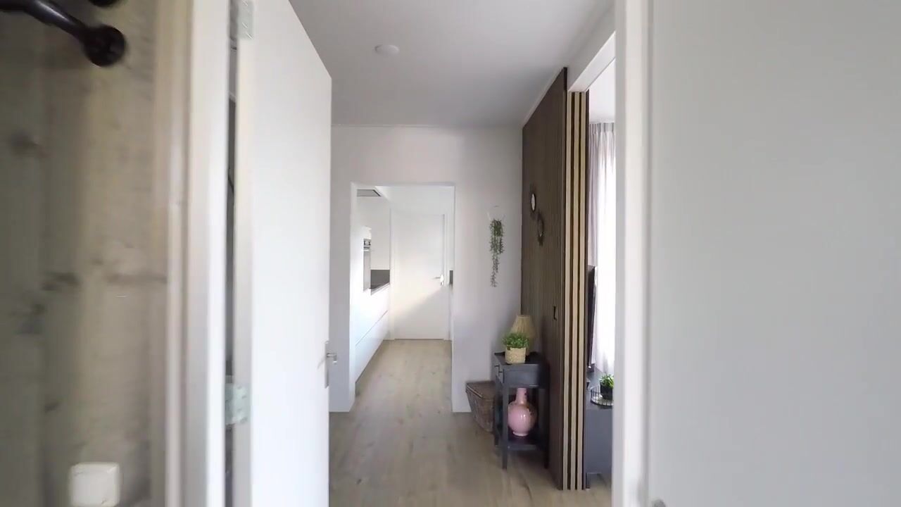 Video of Wilhelminastraat 19