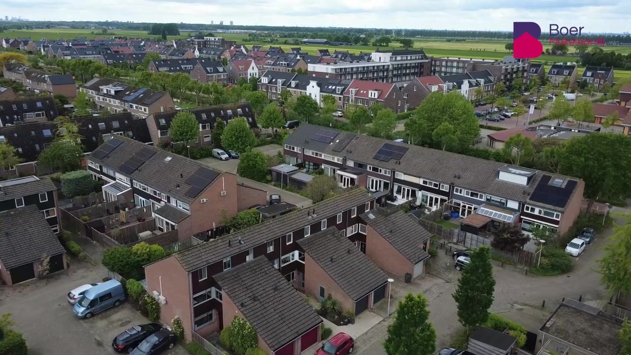 Video of Pijlkruid 4