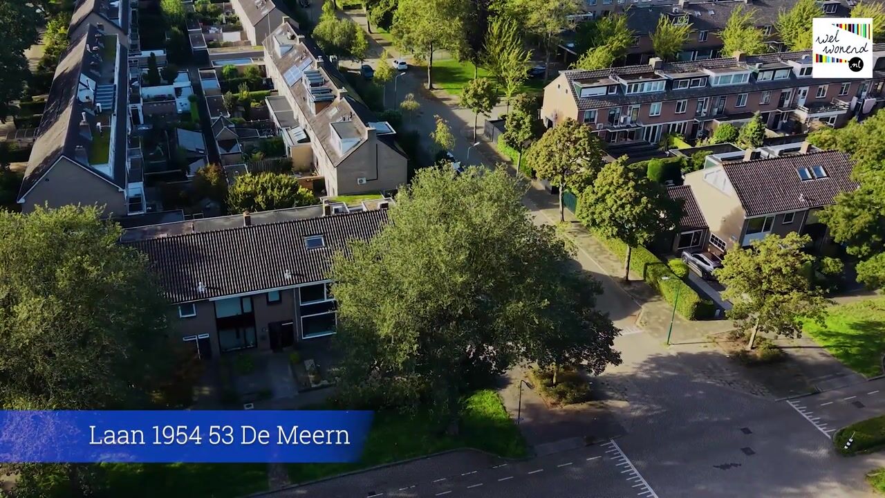 Video van Laan 1954 53