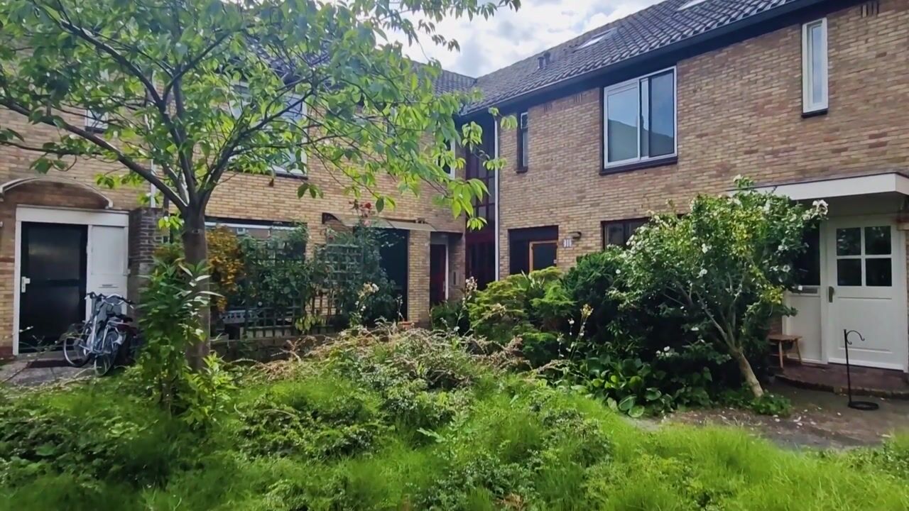 Video van Pallieterstraat 39