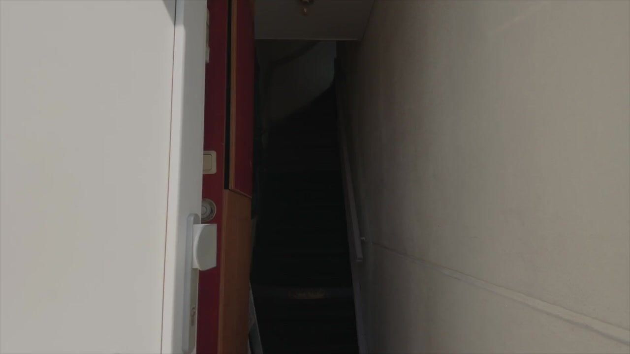 Video van Werner Helmichstraat 9