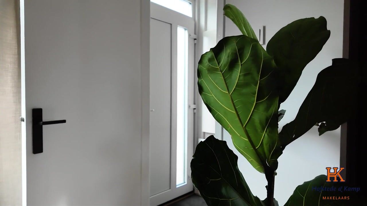 Video van Dr. Van Hoekstraat 36