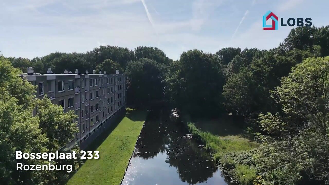 Video van Bosseplaat 233