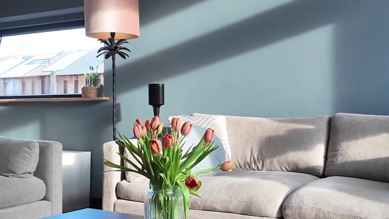 Video van Salamanderveen 252