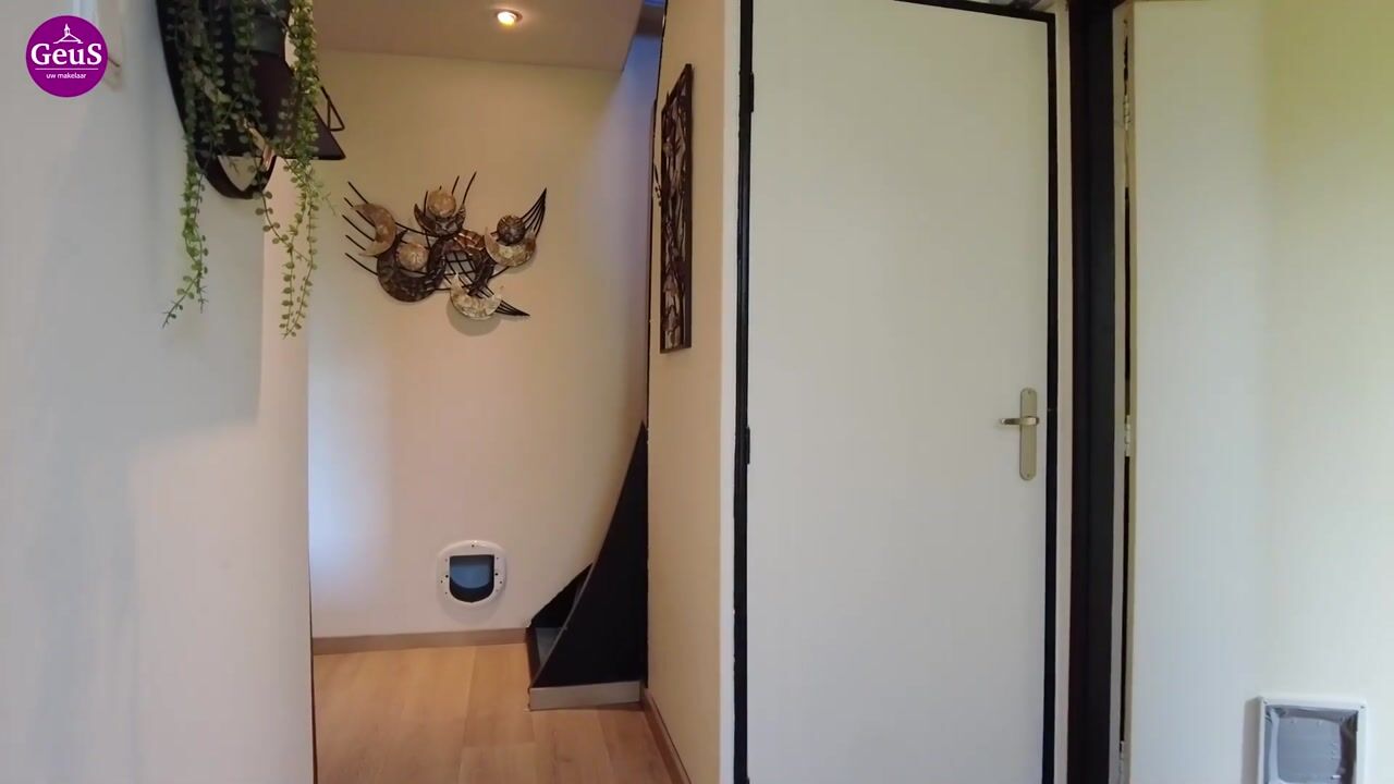 Video of Hogendijk 12