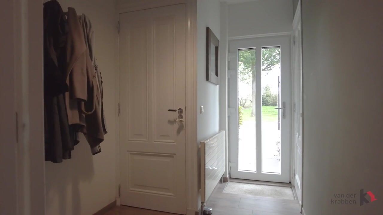 Video of Sieberg 319