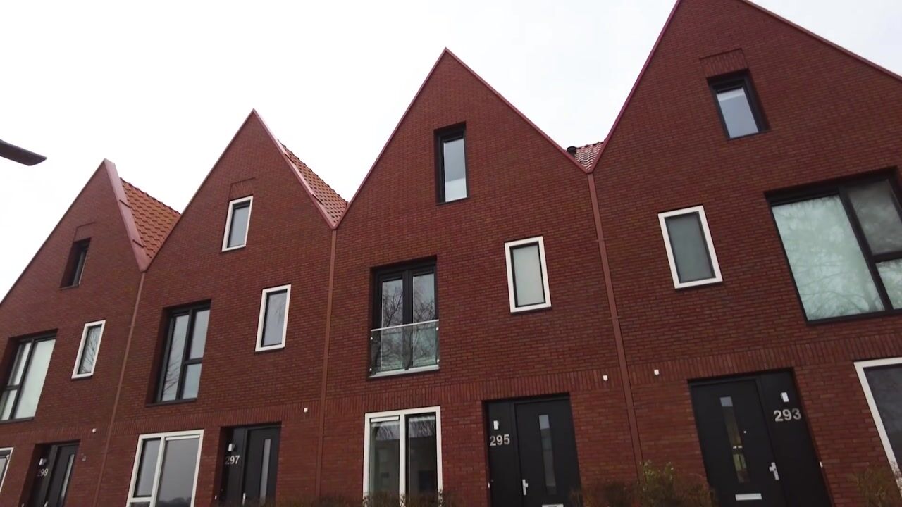 Video of Oeverpad 295