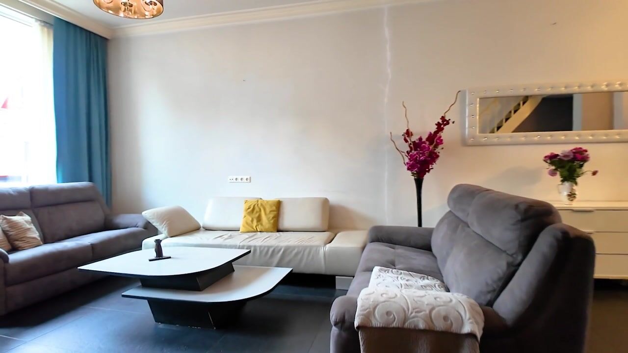 Video van Hasseltstraat 265