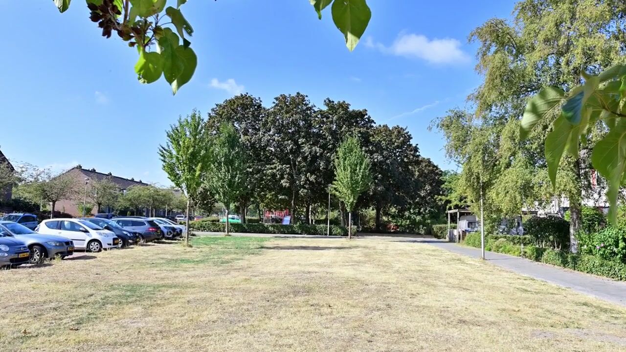 Video van Lepelaarstraat 4