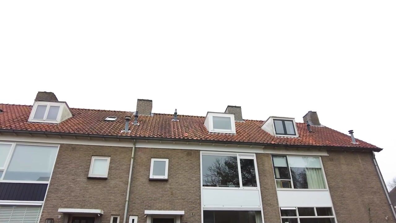 Video van Jacob Catssingel 50