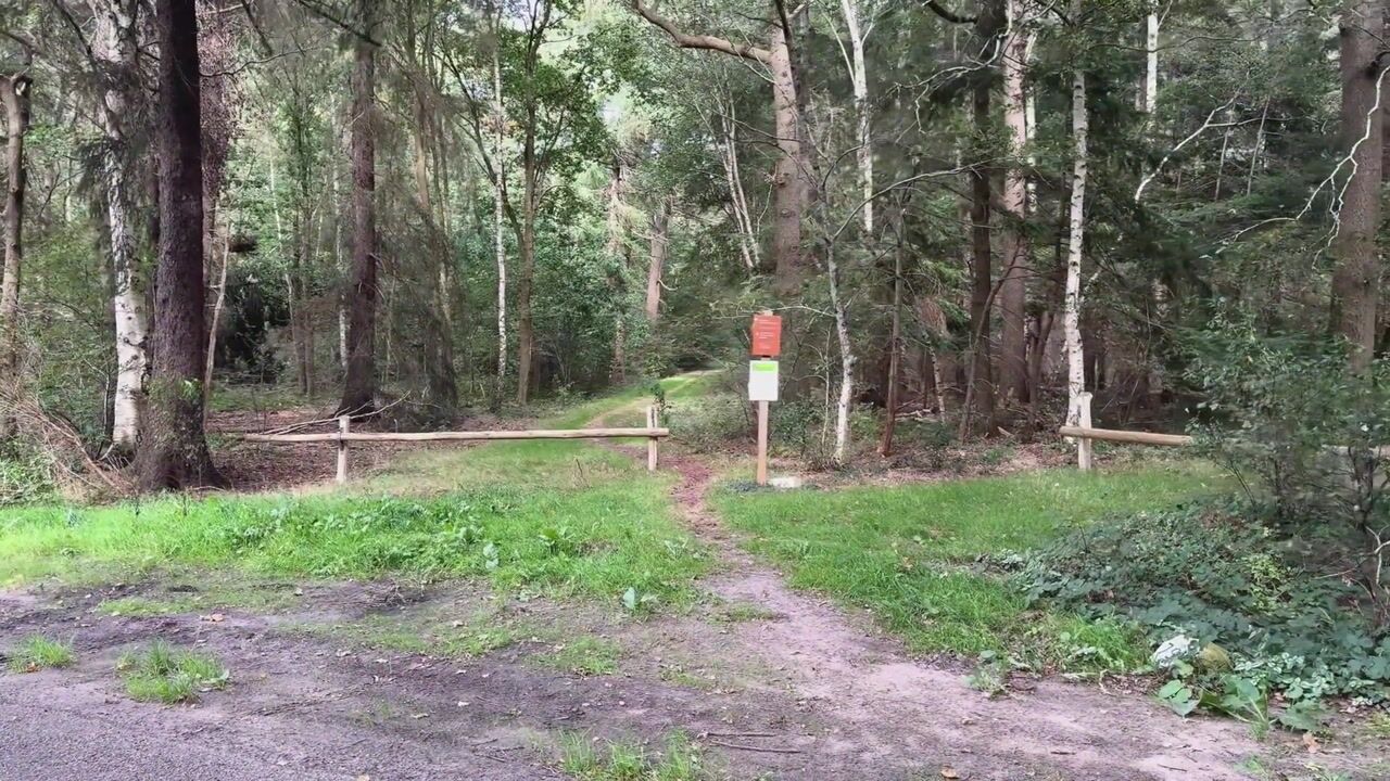 Video van Achterweg 14