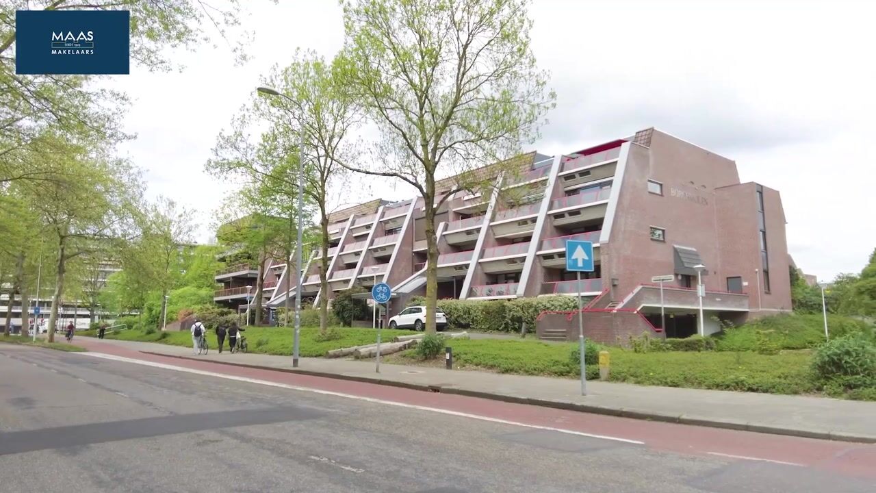 Video van Borchmolen 64