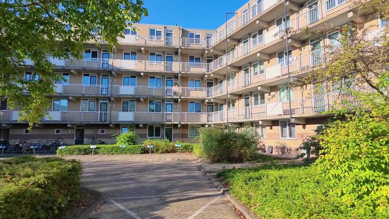 Video van Staalstraat 184