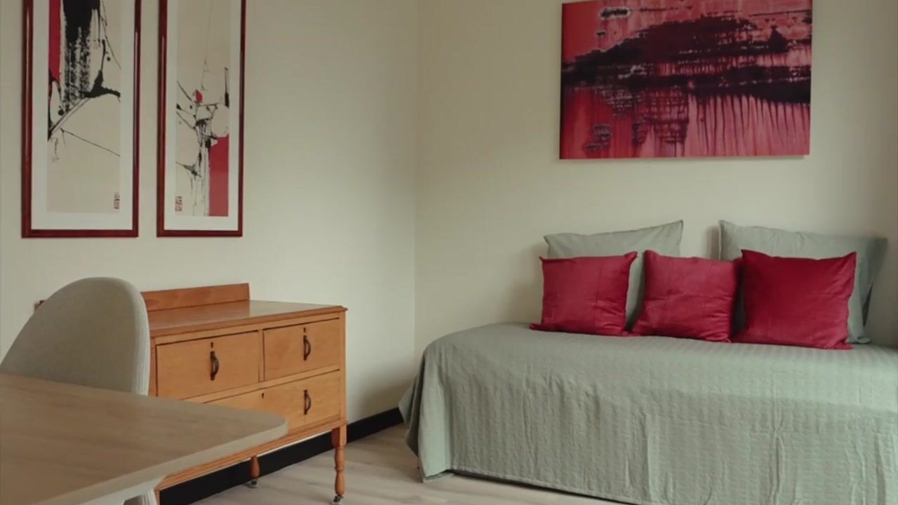 Video van Mies van der Rohestraat 41