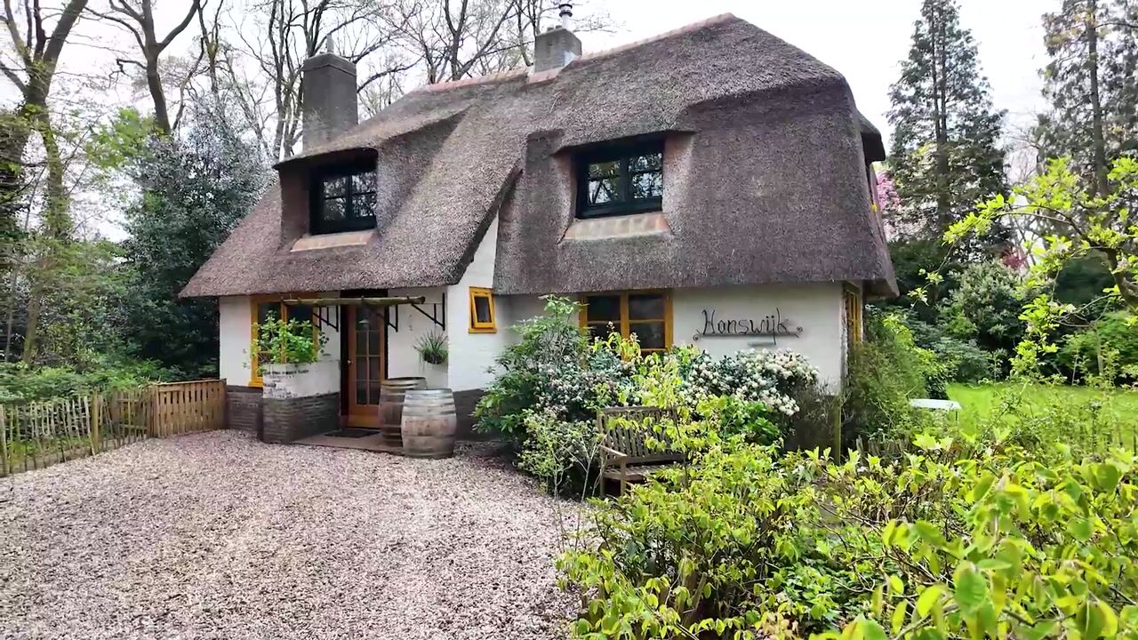 Video van Bartolottilaan 1