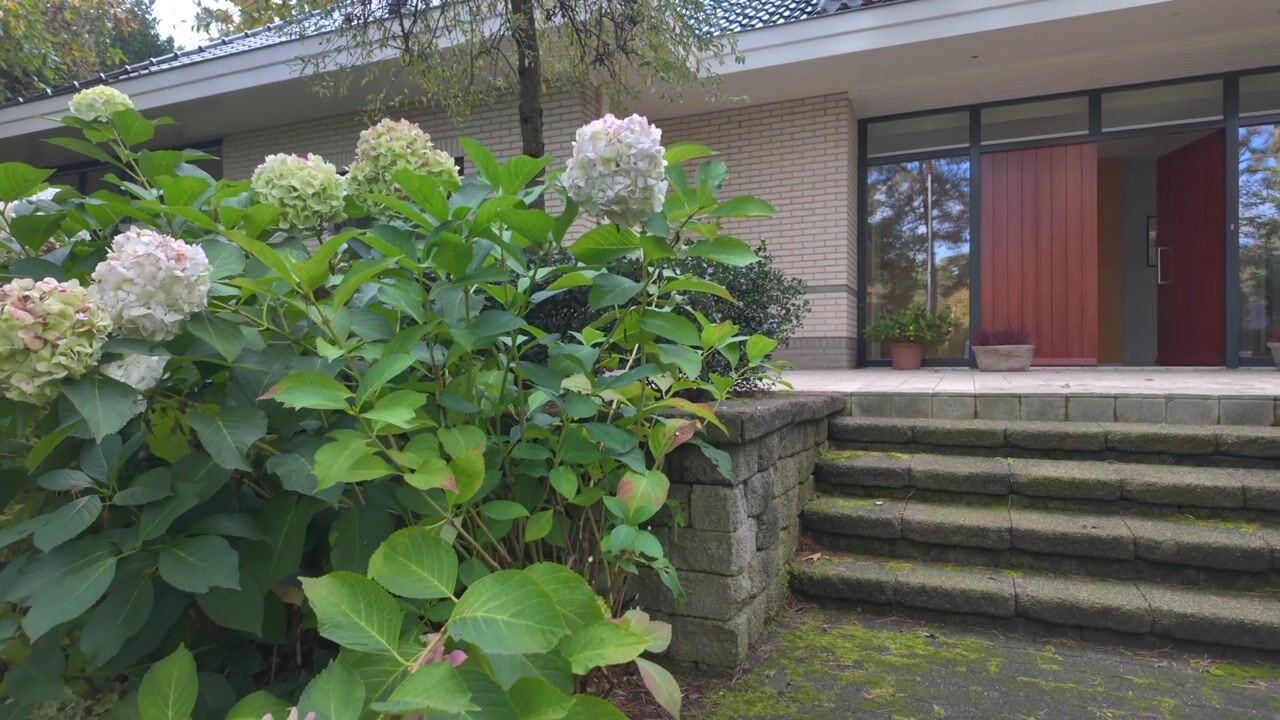 Video van Witte de Withlaan 9