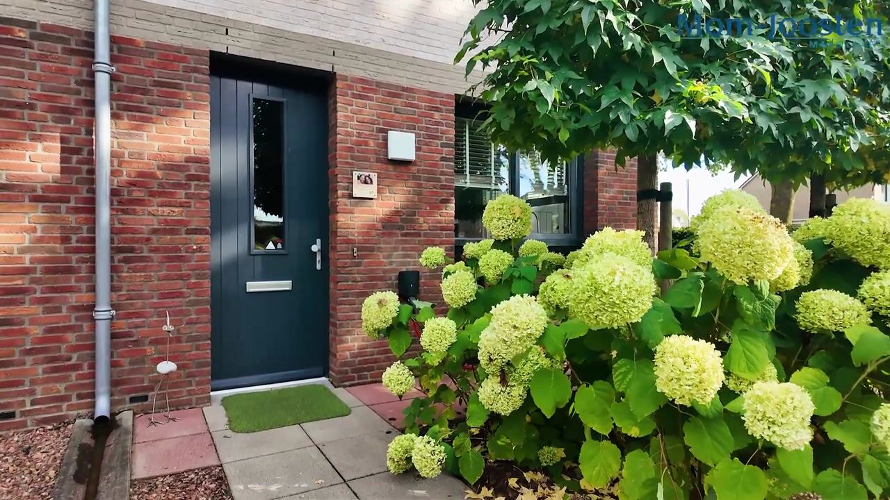 Video van Lupinenstraat 41