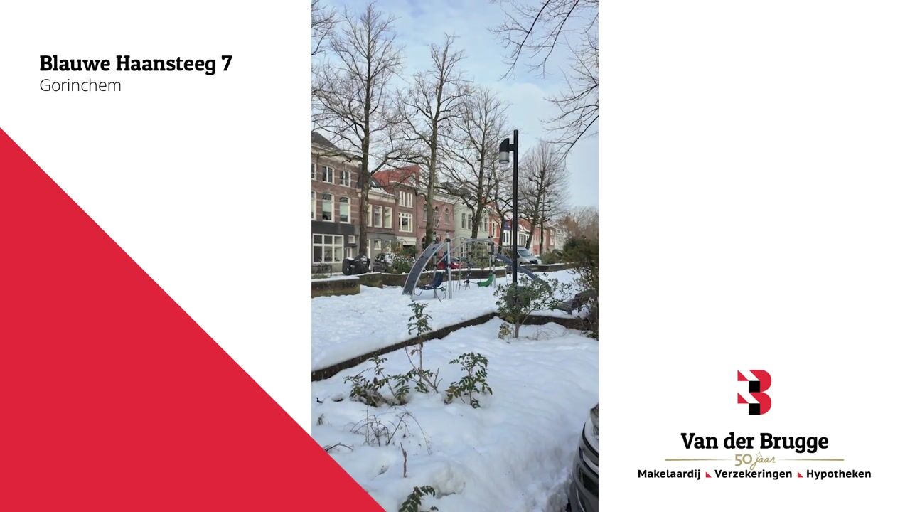 Video van Blauwe Haansteeg 7