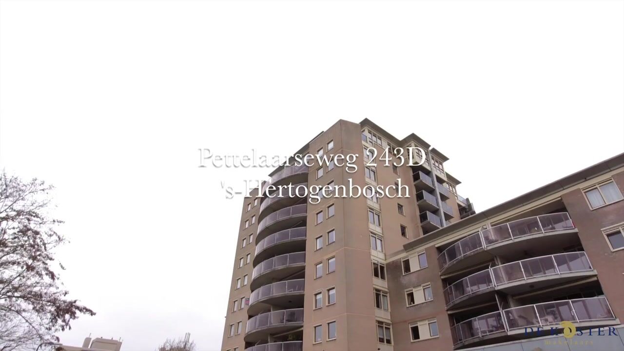 Video of Pettelaarseweg 243-D