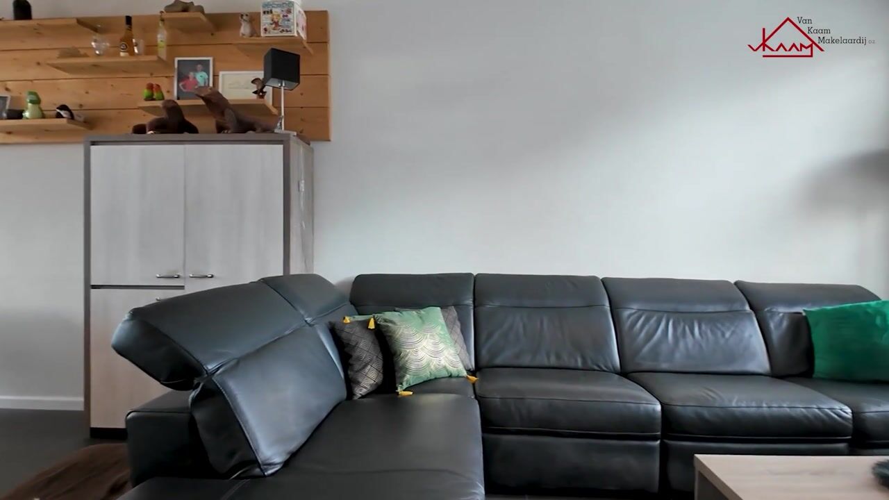 Video van Dauphinélaan 48