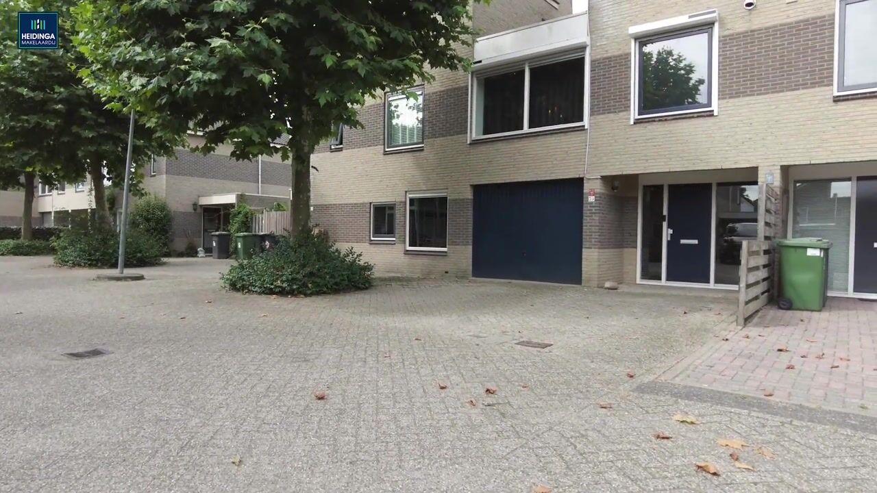 Video van Grauwe Gans 39