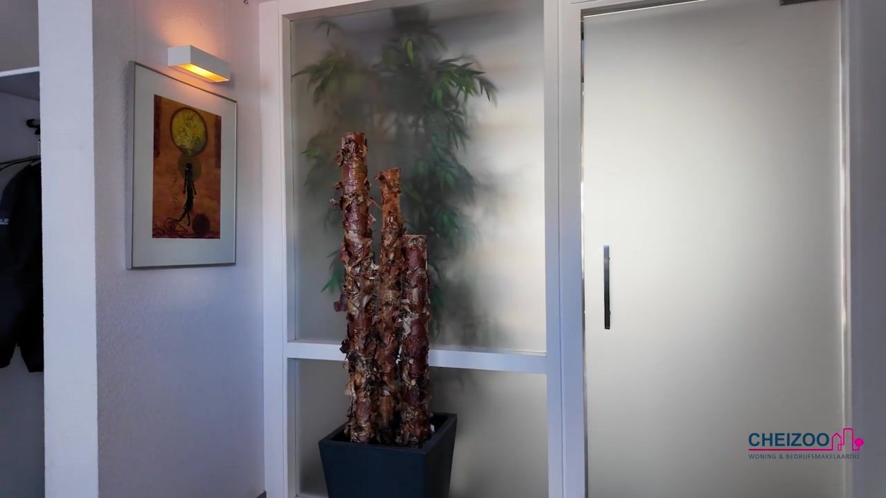 Video van Molenstraat 169