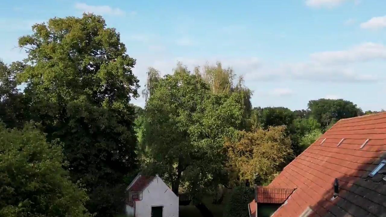 Video van Loofaert 1