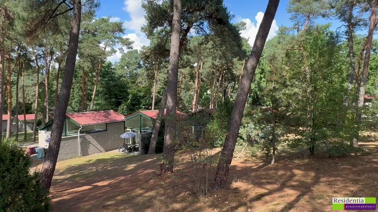 Video of Lommerbergen 315