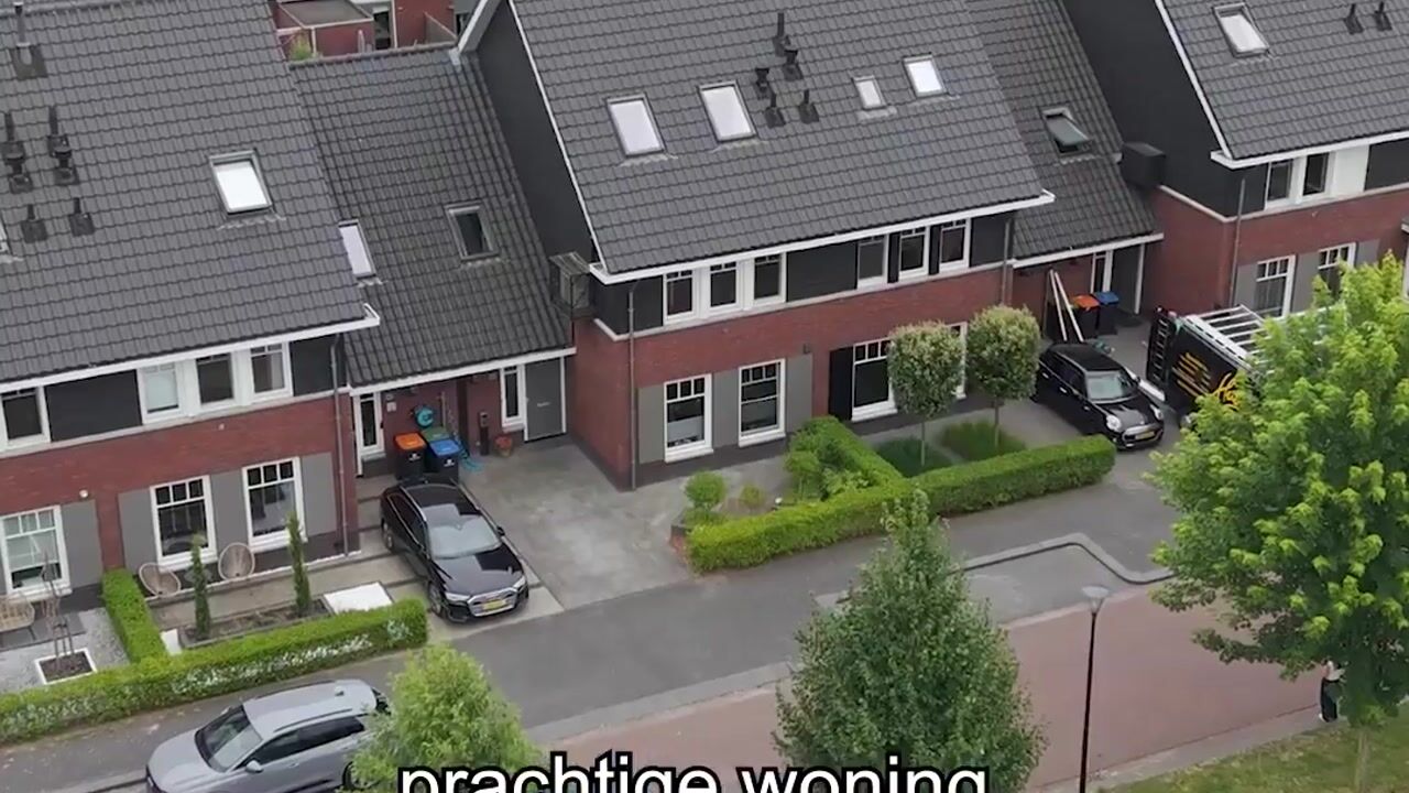 Video van Goudreinet 46