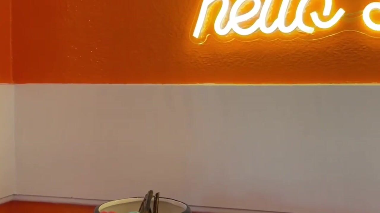 Video van Carel Reinierszkade 313