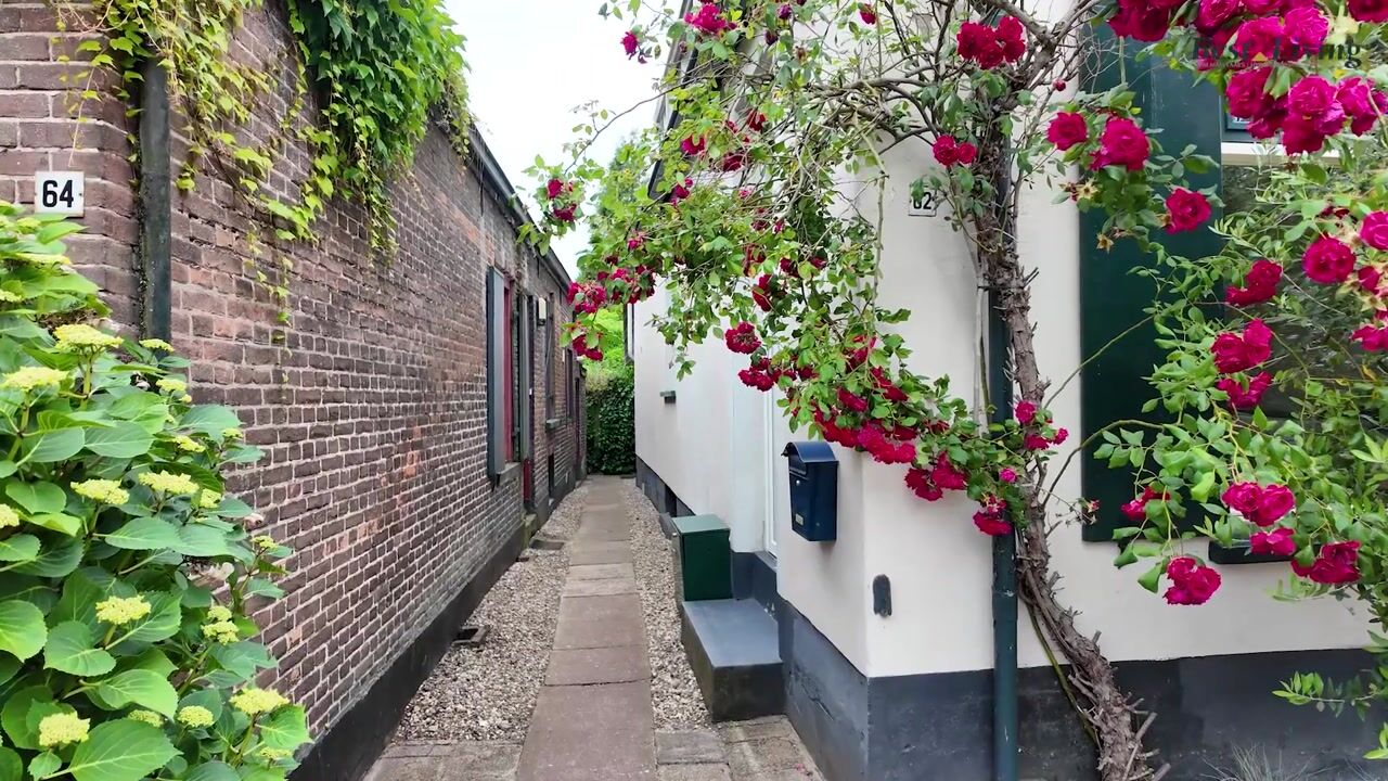 Video of IJsselstraat 62