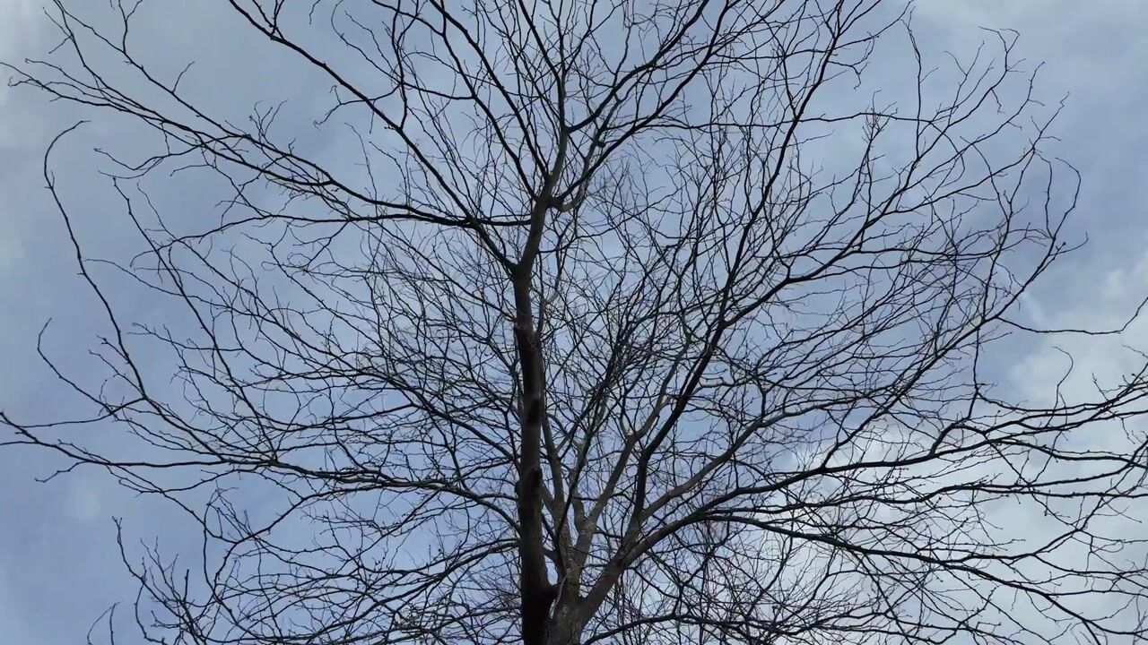 Video van Malbergstraat 27