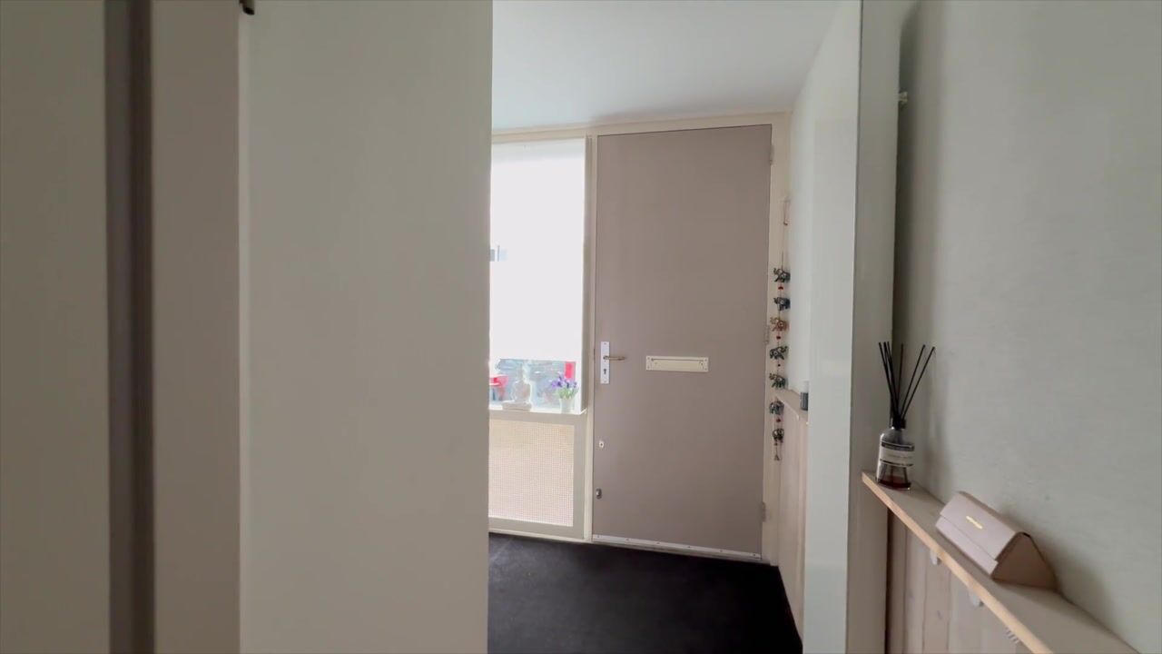Video van Houtzaagmolen 5
