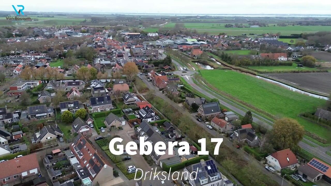 Video of Gerbera 17